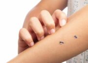 Wah, Arti Mimpi Digigit Nyamuk : Ini Penjelasannya