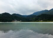 Rahasia Tersembunyi: Arti Mimpi Berada Di Ketinggian  yang Perlu Diketahui