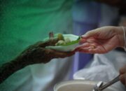 Arti Mimpi Memberi Makan Orang Yang Sudah Meninggal : Pertanda Baik atau Buruk? Kuak Misterinya!