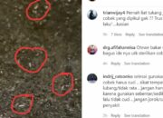 Kisah di Balik Arti Mimpi Belatung Keluar Dari Tubuh : Ini Penjelasannya