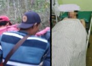 Wah, Arti Mimpi Dibelikan Hp Baru : Pertanda Baik atau Buruk? Kuak Misterinya!