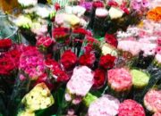Simak! Arti Mimpi Membeli Bunga Ternyata Ini Artinya Menurut Pakar