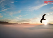 Kisah di Balik Arti Mimpi Dikasih Burung Temukan Makna Rahasianya Disini