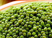 Misteri Terungkap: Arti Mimpi Kacang Hijau : Ini Penjelasannya