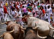 Wah, Arti Mimpi Dikejar Banteng  yang Perlu Diketahui