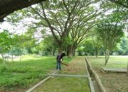 Misteri Terungkap: Arti Mimpi Membersihkan Kuburan  yang Perlu Diketahui