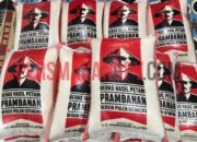 Misteri Terungkap: Arti Mimpi Melihat Beras Berserakan Ternyata Ini Artinya Menurut Pakar