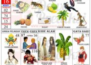 Wah, Arti Mimpi Melihat Orang Gali Sumur Ternyata Ini Artinya Menurut Pakar