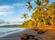 Tabir Terbuka:Rahasia Tersembunyi: Arti Mimpi Di Pinggir Laut : Pertanda Baik atau Buruk? Kuak Misterinya!