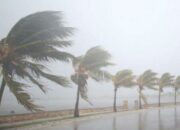 Misteri Terungkap: Arti Mimpi Angin Kencang Menurut Islam Ternyata Ini Artinya Menurut Pakar