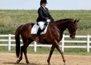 Simak! Arti Mimpi Menunggang Kuda : Pertanda Baik atau Buruk? Kuak Misterinya!