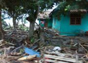 Penafsiran Unik: Arti Mimpi Diterjang Tsunami Ternyata Ini Artinya Menurut Pakar