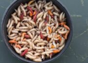 Kisah di Balik Arti Mimpi Banyak Belatung Temukan Makna Rahasianya Disini