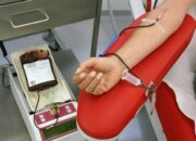 Simak! Arti Mimpi Donor Darah  yang Perlu Diketahui