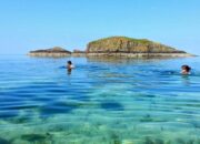 Tabir Terbuka:Rahasia Tersembunyi: Arti Mimpi Berenang Di Pantai : Ini Penjelasannya