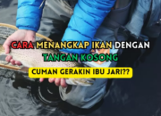 Misteri Terungkap: Arti Mimpi Menangkap Ikan Dengan Tangan Kosong  yang Perlu Diketahui