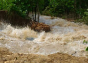 Wah, Arti Mimpi Sungai Banjir Ternyata Ini Artinya Menurut Pakar