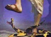 Simak! Arti Mimpi Menginjak Ular : Pertanda Baik atau Buruk? Kuak Misterinya!