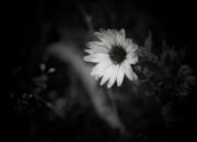 Cara Cepat Mengatasi Kegalauan Hati Menurut Islam