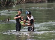 Kisah di Balik Arti Mimpi Menangkap Ikan Kecil  yang Perlu Diketahui