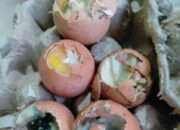 Simak! Arti Mimpi Telur Busuk : Pertanda Baik atau Buruk? Kuak Misterinya!