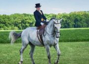 Simak! Arti Mimpi Naik Kuda Putih Temukan Makna Rahasianya Disini