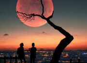 Kenali Arti Mimpi Di Sore Hari Ternyata Ini Artinya Menurut Pakar