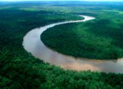 Kenali Arti Mimpi Di Sungai Ternyata Ini Artinya Menurut Pakar