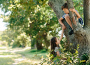 Buka Mata! Arti Mimpi Memanjat Pohon Dan Memetik Buahnya : Ini Penjelasannya