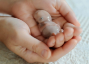 Buka Mata! Arti Mimpi Keguguran Saat Hamil  yang Perlu Diketahui