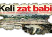 Simak! Arti Mimpi Diberi Makanan : Pertanda Baik atau Buruk? Kuak Misterinya!