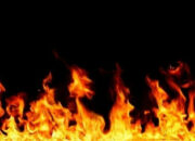 Simak! Arti Mimpi Dibelikan Hp Baru Oleh Orang Tua Ternyata Ini Artinya Menurut Pakar