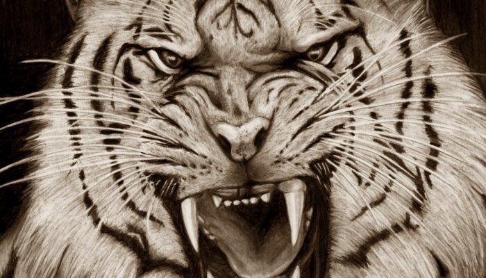 Kenali Arti Mimpi Melihat Macan Putih  yang Perlu Diketahui