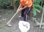 Buka Mata! Arti Mimpi Mencangkul Tanah : Pertanda Baik atau Buruk? Kuak Misterinya!