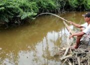 Wah, Arti Mimpi Mancing Ikan Di Sungai  yang Perlu Diketahui