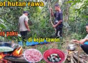 Wah, Arti Mimpi Di Kejar Tawon : Pertanda Baik atau Buruk? Kuak Misterinya!