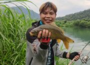 Penafsiran Unik: Arti Mimpi Mancing Dapat Ikan Mas Temukan Makna Rahasianya Disini