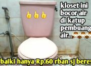 Tabir Terbuka:Rahasia Tersembunyi: Arti Mimpi Memperbaiki Wc : Ini Penjelasannya