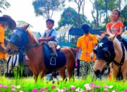 Arti Mimpi Naik Kuda Coklat : Pertanda Baik atau Buruk? Kuak Misterinya!