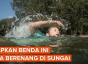 Kisah di Balik Arti Mimpi Berenang Di Sungai Yang Jernih Ternyata Ini Artinya Menurut Pakar