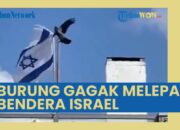 Penafsiran Unik: Arti Mimpi Digigit Burung Ternyata Ini Artinya Menurut Pakar