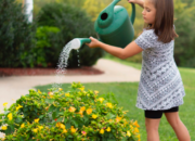 Kisah di Balik Arti Mimpi Menyiram Tanaman : Pertanda Baik atau Buruk? Kuak Misterinya!