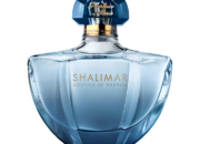 Kisah di Balik Arti Mimpi Beli Minyak Wangi  yang Perlu Diketahui