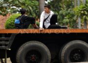 Arti Mimpi Naik Truk Ternyata Ini Artinya Menurut Pakar