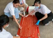 Simak! Arti Mimpi Menarik Cacing Dari Dubur Sendiri Ternyata Ini Artinya Menurut Pakar