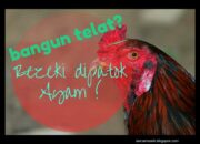 Penafsiran Unik: Arti Mimpi Dipatok Ayam Menurut Islam  yang Perlu Diketahui