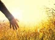 Penafsiran Unik: Arti Mimpi Tangan Digenggam Erat Menurut Islam : Pertanda Baik atau Buruk? Kuak Misterinya!