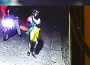 Buka Mata! Arti Mimpi Dilempar Ular : Pertanda Baik atau Buruk? Kuak Misterinya!