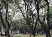 Buka Mata! Arti Mimpi Jalan Jalan Sama Pacar : Pertanda Baik atau Buruk? Kuak Misterinya!