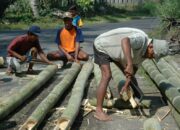 Misteri Terungkap: Arti Mimpi Memegang Bambu Temukan Makna Rahasianya Disini